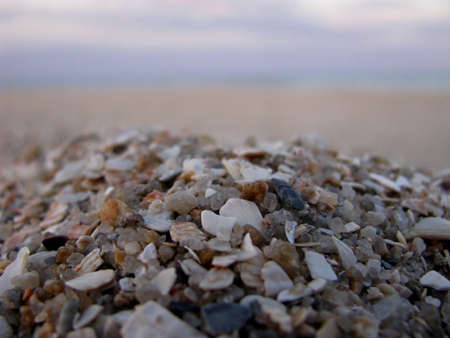 shellの写真素材