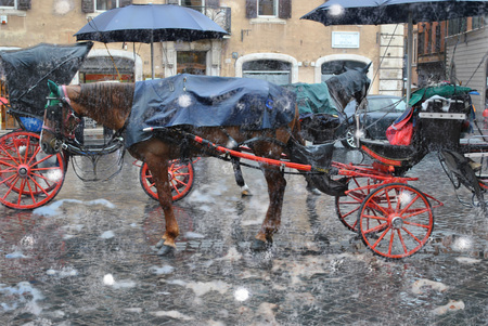 The Roman walking carriages with the harnessed elite horses on the Square of Spain in snow abnormal spring.の写真素材