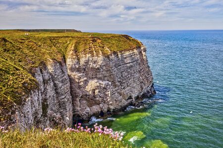 Cliffs of Flamborough, Yorkshire, Great Britain.の写真素材