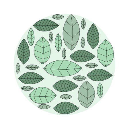 Round banner from branches with leaves. Green leaves in a circle. Vector leaves. Hand drawn vector doodle.のイラスト素材