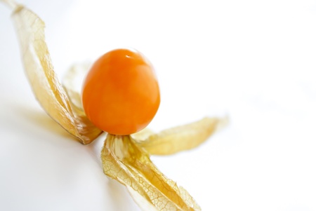 Physalis fruit on a white backgroundの写真素材
