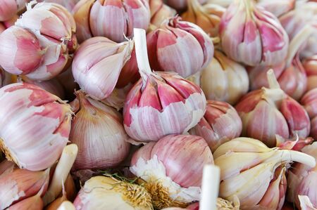 Red fresh garlic at the vegetables marketの写真素材