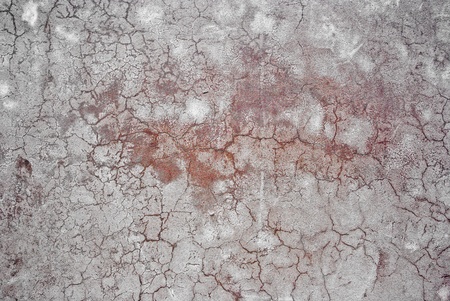 Seamless wall texture as a simple backgroundの写真素材