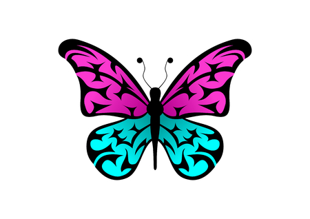 Colorful butterfly on white background, vector illustration.のイラスト素材