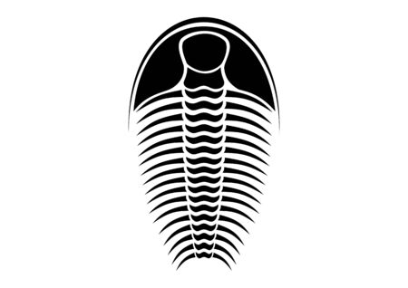 trilobite - black and white vectorのイラスト素材