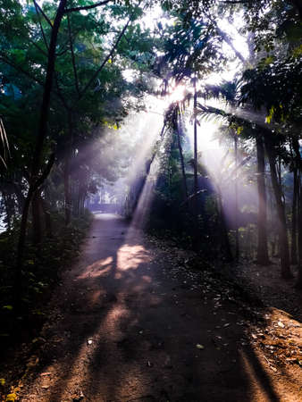 A Winter Morningの写真素材