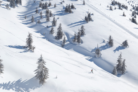 snowy trees on winter mountainsの写真素材