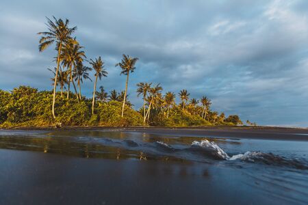 Black sand beach with crashing surf and palm treesの写真素材