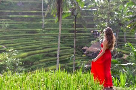 Beautiful woman back view in red dress looking at beautiful tegallalang rice terrace in Bali, Indonesiaの写真素材