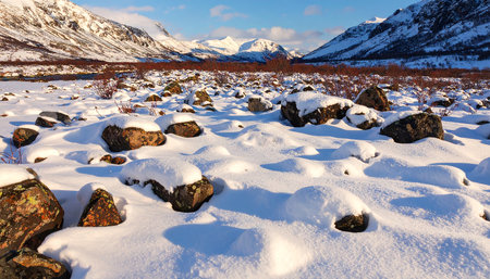 Winter mountain landscape with snow and rocks. Lofoten islands, Norway.の素材