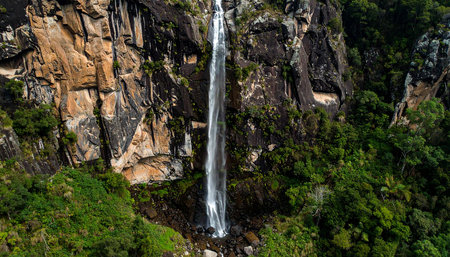 Waterfall in the mountains of the island of Mauritius, Africaの素材