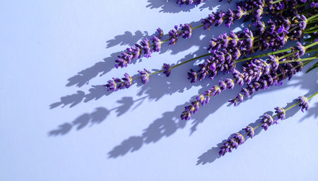Bouquet of lavender flowers on blue background. Top view.の素材
