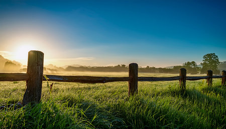Bright sunrise casts golden light over a misty green field and a rustic wooden fence under a blue sky.の素材