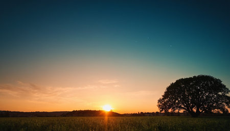 Sunset over a green field with trees in the background and a blue skyの素材
