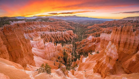 Bryce Canyon National Park, Utah, USA. Scenic view of Bryce Canyon National Park at sunset.の素材