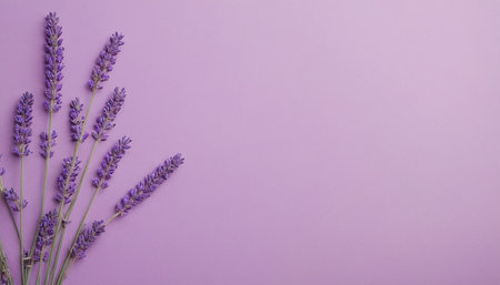 Lavender flowers on a purple background. Flat lay, top view.の素材