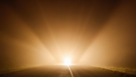 Road in the fog at night with sun rays passing through the fogの素材