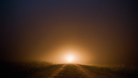 Dirt road through corn field at night with fog in the backgroundの素材