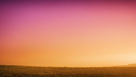 Beautiful sunset over a field. Toned. Retro color.の素材