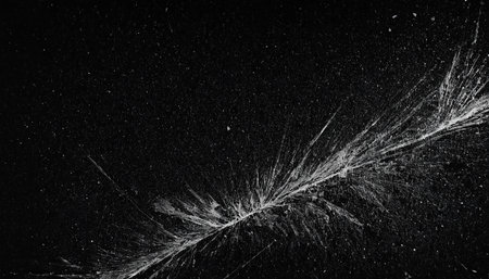 Broken glass on a black background. Abstract background for design.の素材