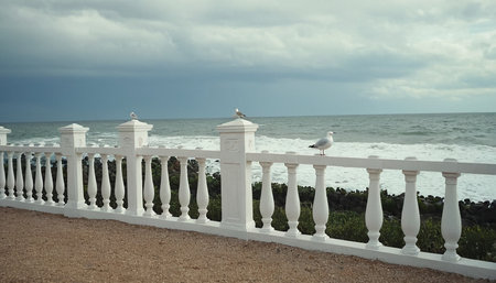 Seagulls sitting on the railing on the seashoreの素材
