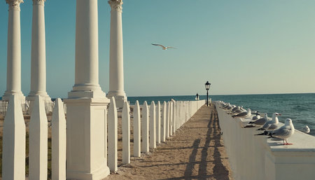 Seagulls on the pier on the background of the seaの素材