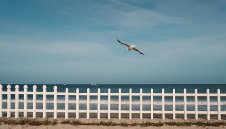 Seagull flying over a white picket fence on the beachの素材