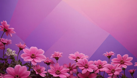 pink cosmos flowers on a colorful background with copy space for textの素材