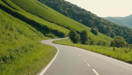 Asphalt road in the mountains. Summer landscape in the mountains.の素材