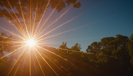 Sunset over the forest. Sun rays shining through the trees.の素材