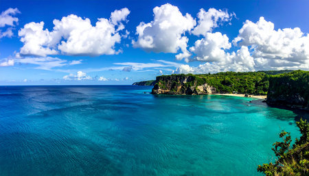 Panoramic view of an idyllic beach in Okinawa, Japanの素材