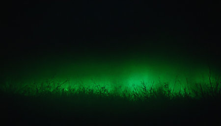 Green light through the grass in the forest at night. Selective focus.の素材