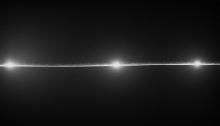 Abstract black and white background with lens flare effect. Black and white background.の素材
