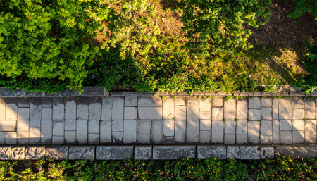 Stone walkway in the park with green grass and bushes. Top viewの素材