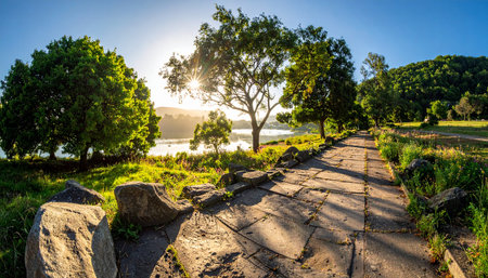 Sunset over the lake in the morning, with a path and treesの素材