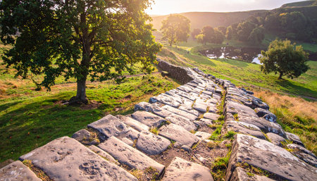 Sunset view of the ruins of Bodmin Moor in Dorsetの素材