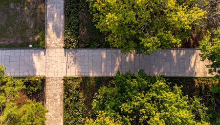 Aerial view of a bridge over a river with trees in the backgroundの素材