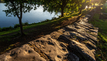 Stone walkway in the park at sunset. Beautiful natural background.の素材