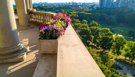 Bouquet of flowers on a balcony in the center of Moscowの素材