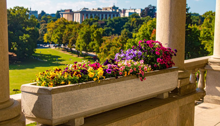 Flowers in the park in St.Petersburg, Russiaの素材