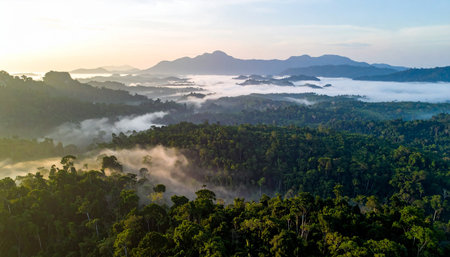 Panoramic aerial view of misty valley in the morning.の素材