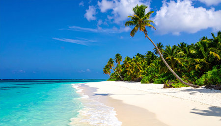 Beautiful tropical beach with coconut palm trees at Seychellesの素材