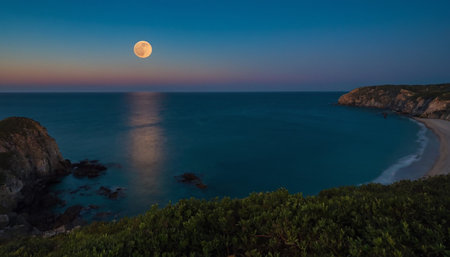 Beautiful full moon over the sea at night. Panorama.の素材
