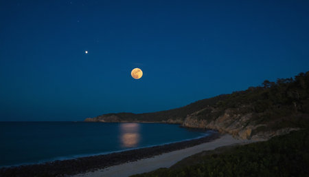Full moon over a beach at night, Sardinia, Italy.の素材