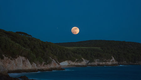 Full moon over the coast of Costa Paradiso at night, Sardiniaの素材