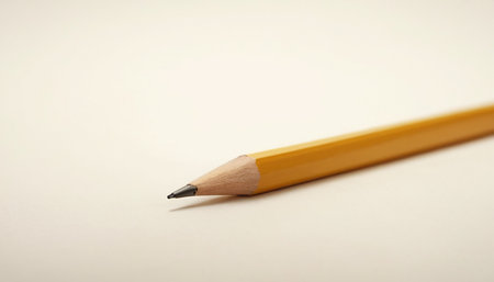 Indoor plant in a pot on the windowsill. House plants.の素材