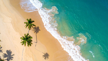 Aerial view of beautiful tropical beach and sea with coconut palm treeの素材