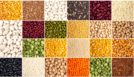 Collection of different types of beans, legumes, peas, lentils, beans, peas, chickpeas, soybeans, peas, lentils.の素材