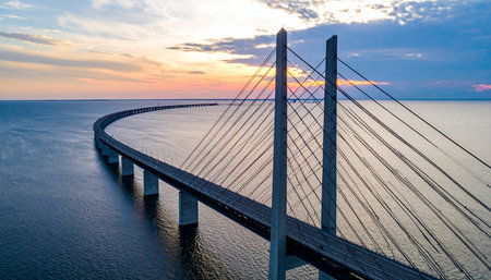 Aerial view of cable-stayed bridge over the sea at sunsetの素材
