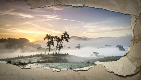 Terraced rice field in the morning with old paper background.の素材
